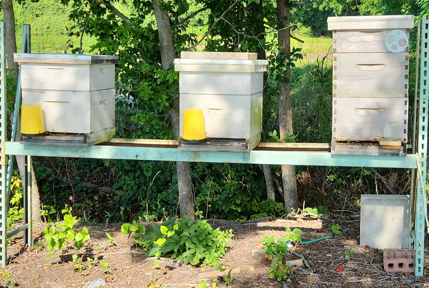 Raw Wildflower Honey